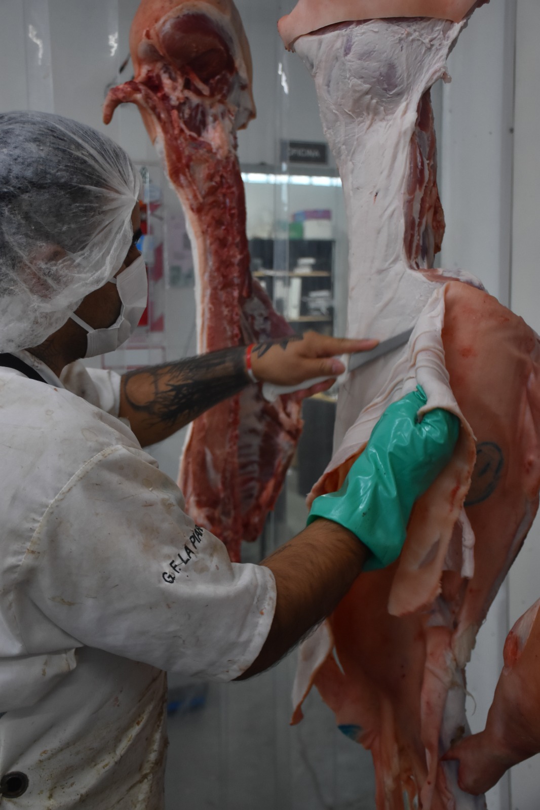 Carne